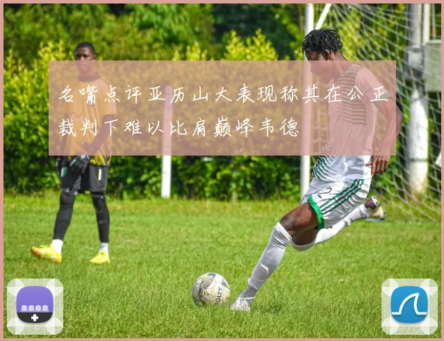 名嘴点评亚历山大表现称其在公正裁判下难以比肩巅峰韦德