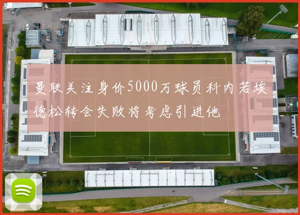 曼联关注身价5000万球员科内若埃德松转会失败将考虑引进他